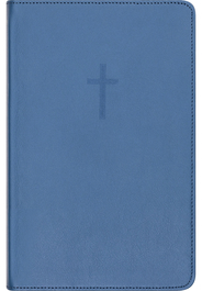 2024 Bibel, blått skinn, medium, register