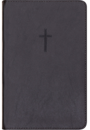 2024 Bibel, svart skinn, medium, register