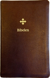 2011 Bibel mørk brun skinn, stor, register