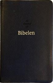 2011 Bibel, sort skinn, medium