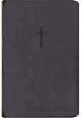 2024 Bibel, svart skinn, medium