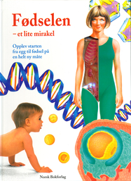 Fødselen - et lite mirakel